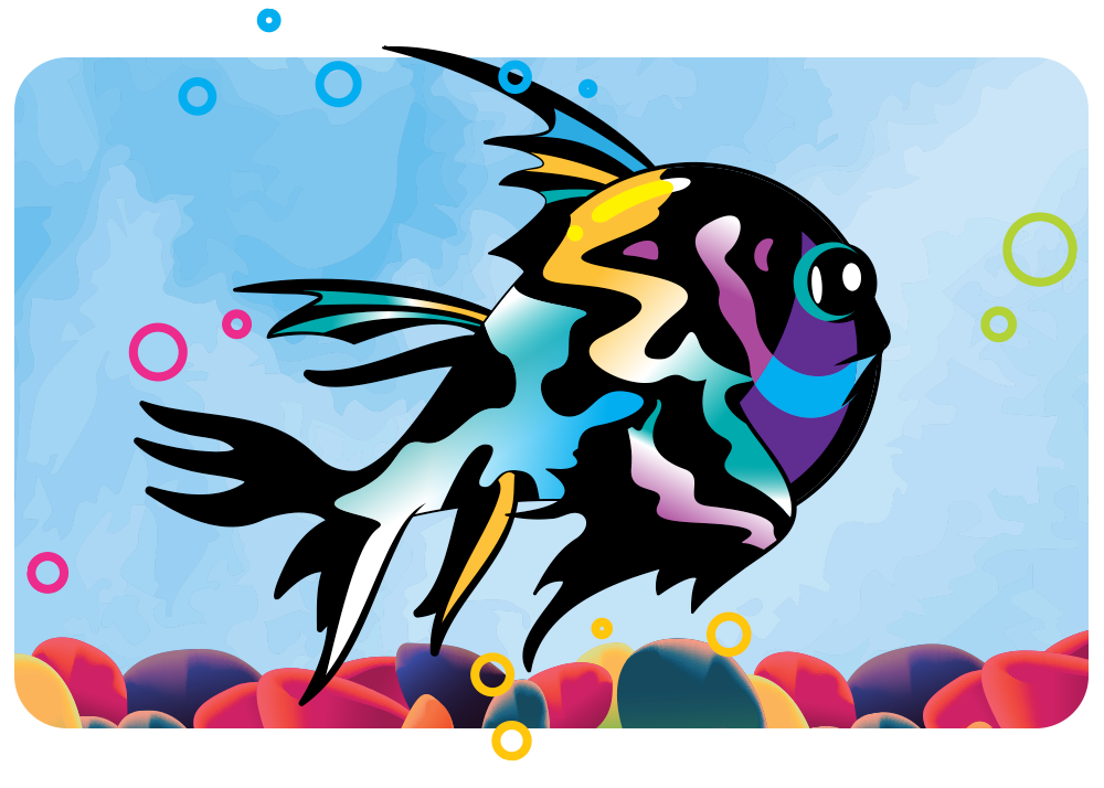 colorful fish