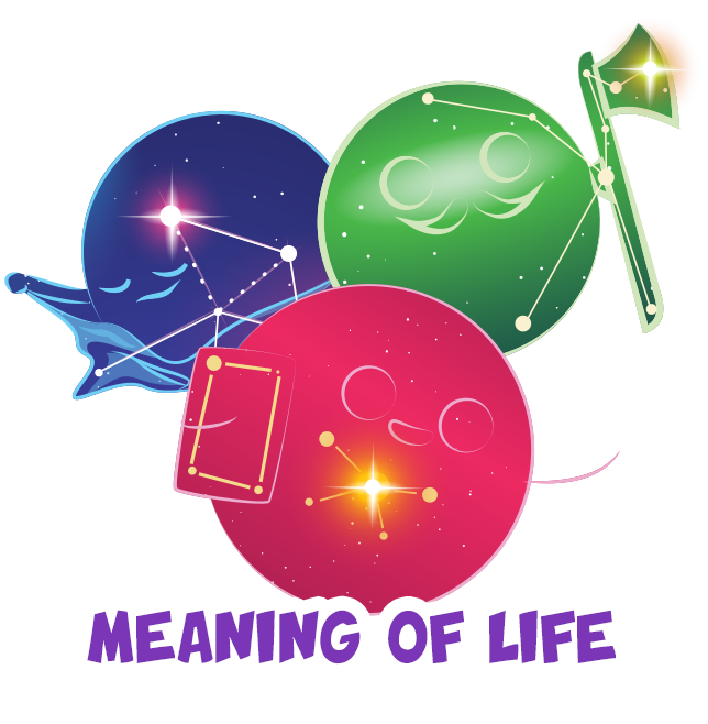 meaning of life